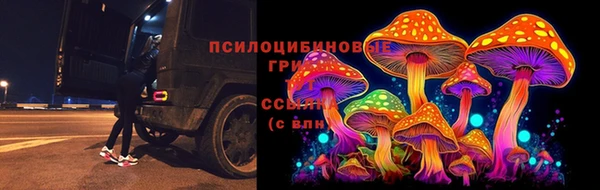 мет Горно-Алтайск