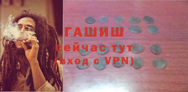 молекула духа Горняк