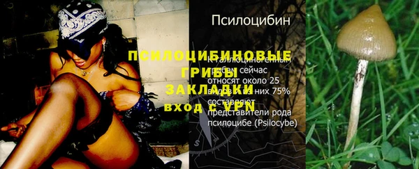 мет Горно-Алтайск