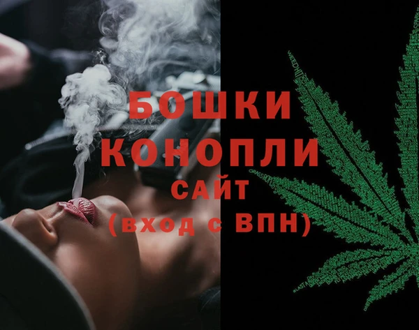 крисы Шадринск